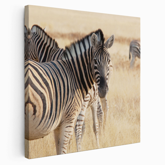 Canvas Print - Zebras