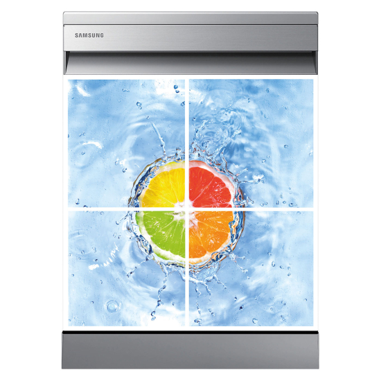 Dishwasher Sticker - Citrus fruits