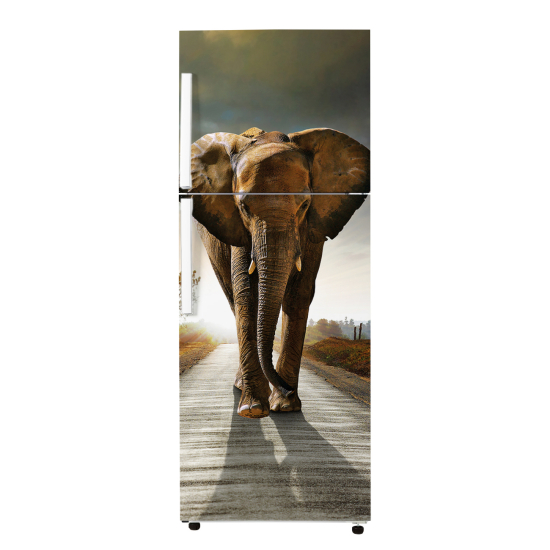 Fridge Sticker - Elephant