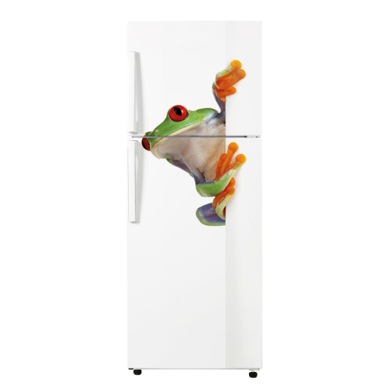 Fridge Sticker - Frog