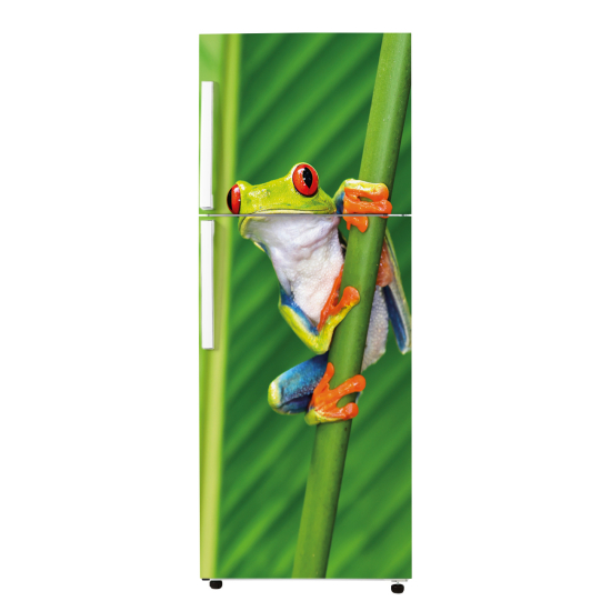 Fridge Sticker - Frog