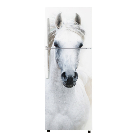 Fridge Sticker - Horse