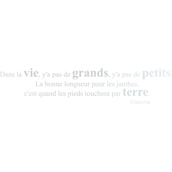 Frosted Window Glass Sticker - Coluche Quote