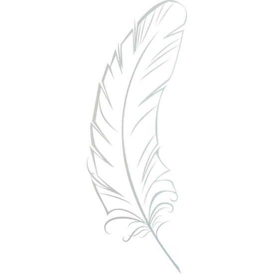 Frosted Window Glass Sticker - Feather