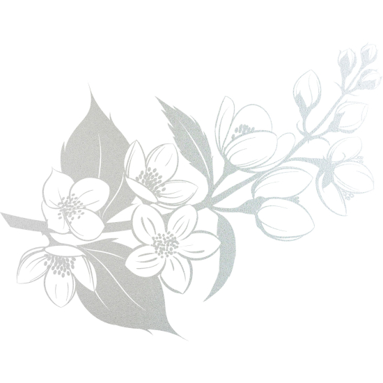 Frosted Window Glass Sticker - Floral branch