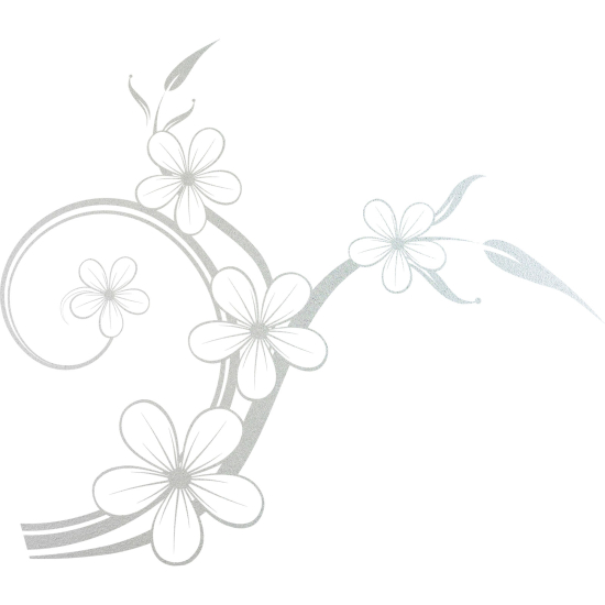 Frosted Window Glass Sticker - Flowers