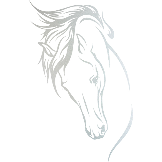 Frosted Window Glass Sticker - Horse head