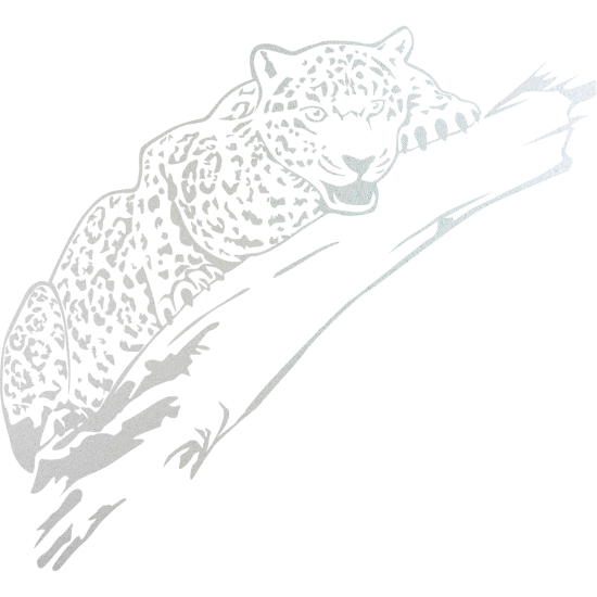 Frosted Window Glass Sticker - Leopard