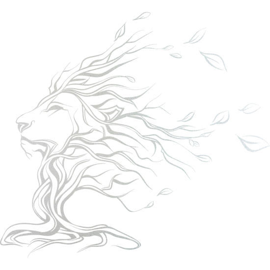 Frosted Window Glass Sticker - Lion