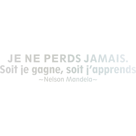 Frosted Window Glass Sticker - Nelson Mandela quote