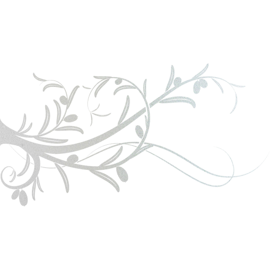 Frosted Window Glass Sticker - Olive branch