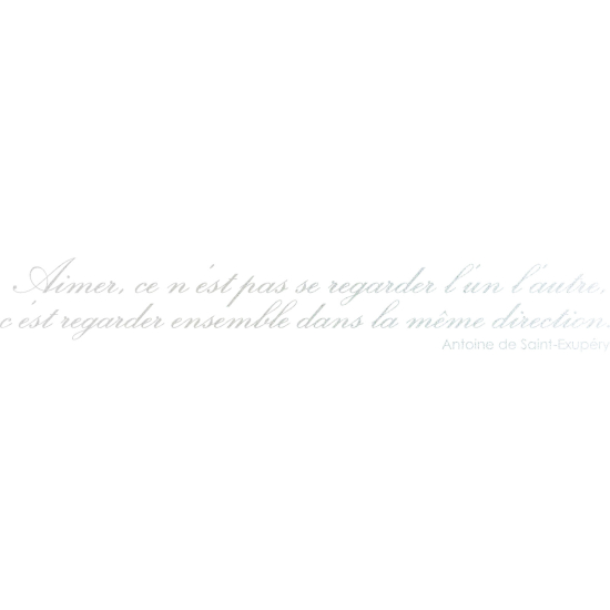 Frosted Window Glass Sticker - Quote by Antoine de Saint-Exupéry