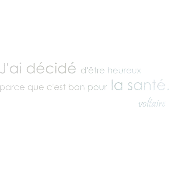 Frosted Window Glass Sticker - Voltaire Quote