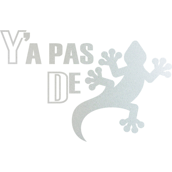 Frosted Window Glass Sticker - Y'a pas de lézard