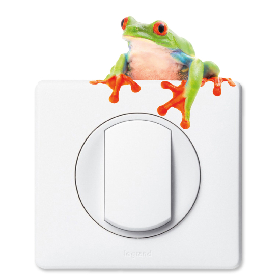 Light Switch Sticker - Frog