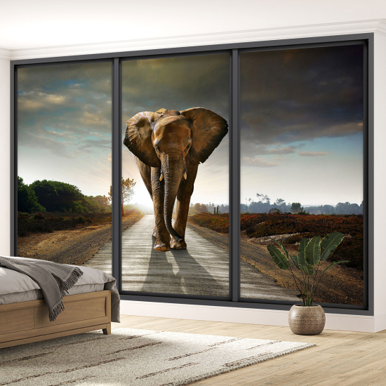 Optical Illusion Panoramic Bay Window Wall Mural / Wallpaper - Elephant