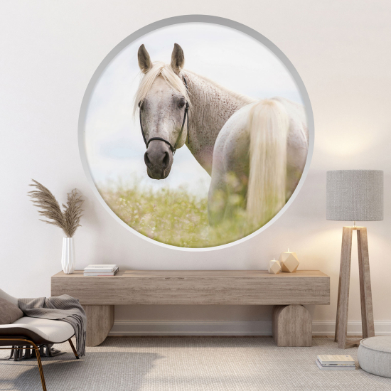 Optical Illusions Round Arch Wall Sticker - Horse