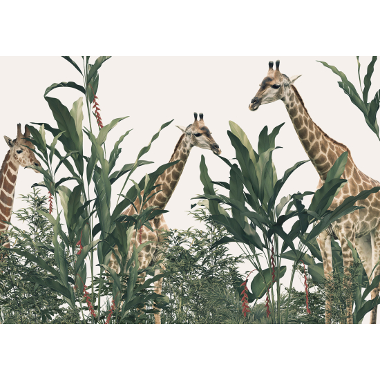 Panoramic Wallpaper - Kid Wall Mural - Giraffes