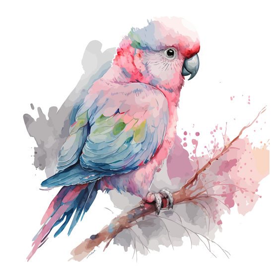 Panoramic Wallpaper - Kid Wall Mural - Parrot