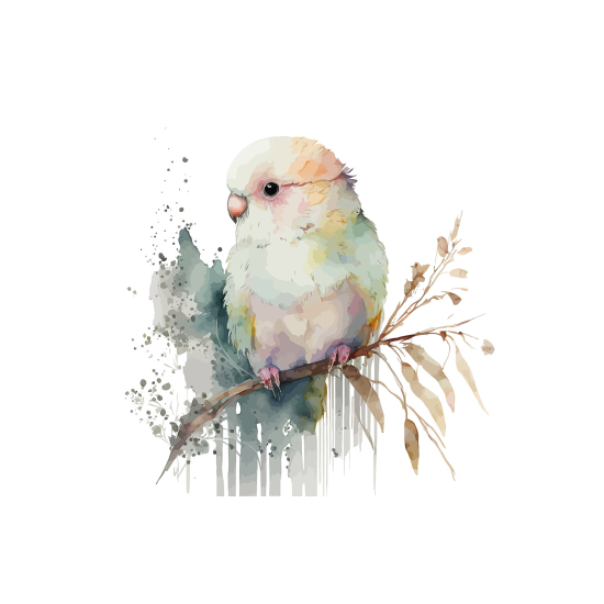 Panoramic Wallpaper - Kid Wall Mural - Parrot