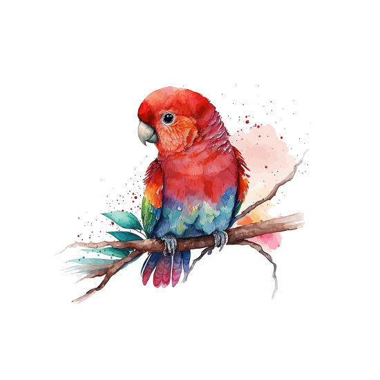 Panoramic Wallpaper - Kid Wall Mural - Parrot