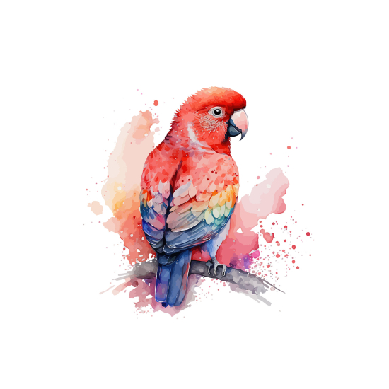 Panoramic Wallpaper - Kid Wall Mural - Parrot