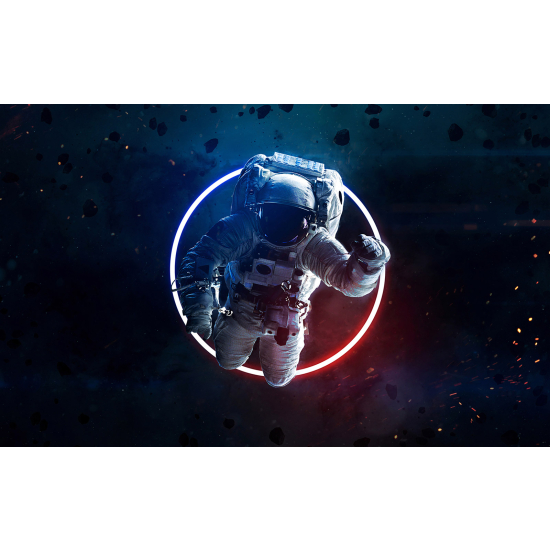 Panoramic Wallpaper - Wall Mural - Astronaut