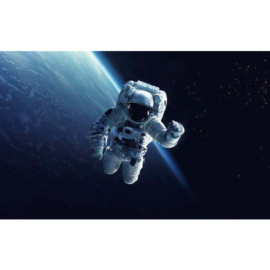 Panoramic Wallpaper - Wall Mural - Astronaut