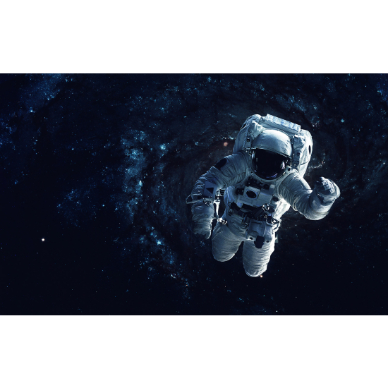 Panoramic Wallpaper - Wall Mural - Astronaut