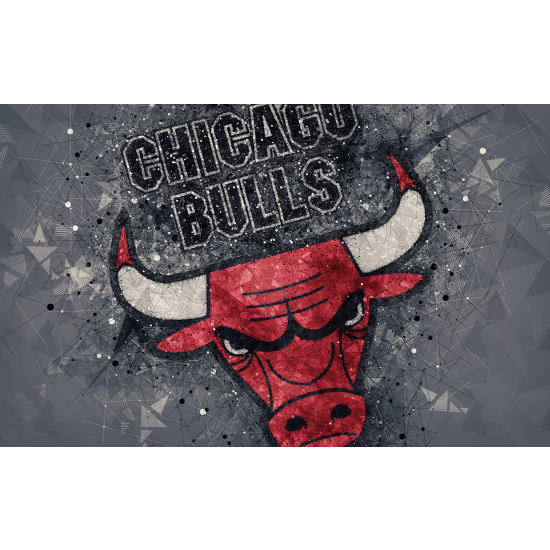 Panoramic Wallpaper - Wall Mural Basket / Basketball - Chicago Bulls