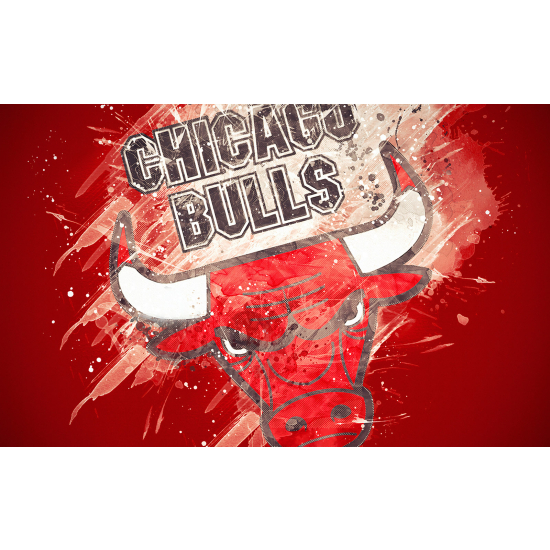 Panoramic Wallpaper - Wall Mural Basket / Basketball - Chicago Bulls