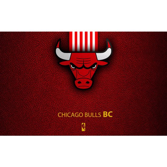 Panoramic Wallpaper - Wall Mural Basket / Basketball - Chicago Bulls