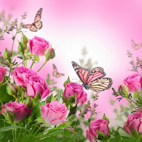 Panoramic Wallpaper - Wall Mural - Butterfly Flowers