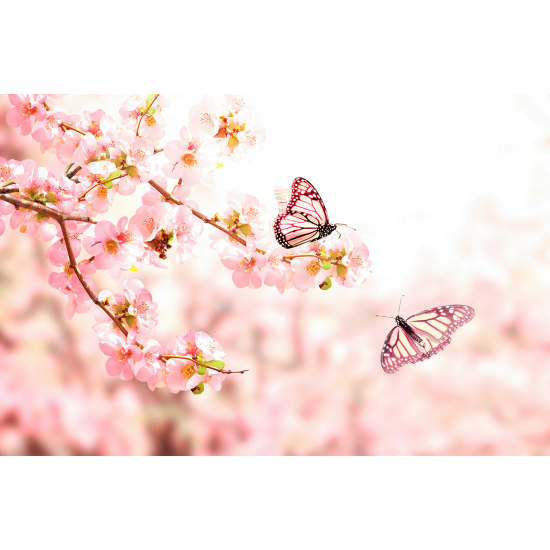 Panoramic Wallpaper - Wall Mural - Butterfly Flowers