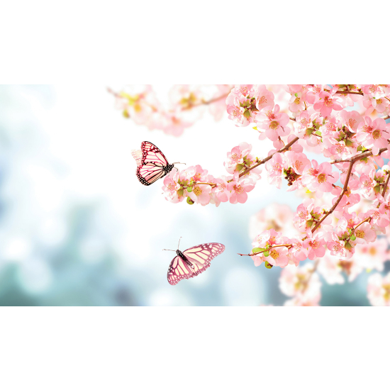 Panoramic Wallpaper - Wall Mural - Butterfly Flowers