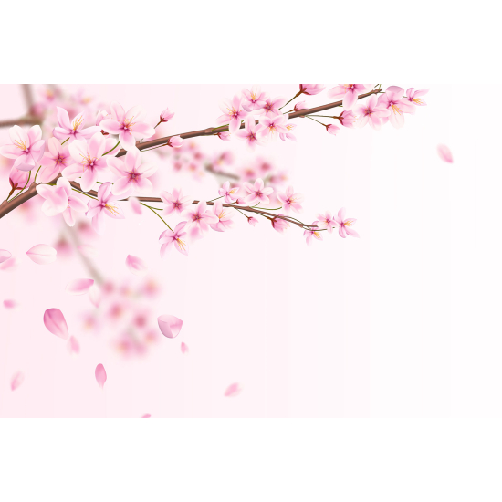 Panoramic Wallpaper - Wall Mural - Cherry tree