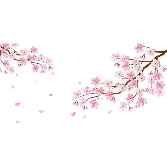 Panoramic Wallpaper - Wall Mural - Cherry trees