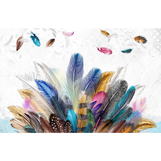 Panoramic Wallpaper - Wall Mural - Colored Feathers