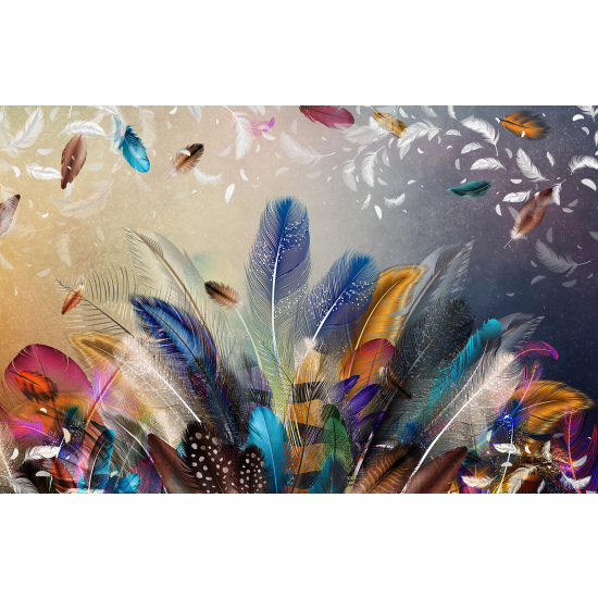 Panoramic Wallpaper - Wall Mural - Colored Feathers