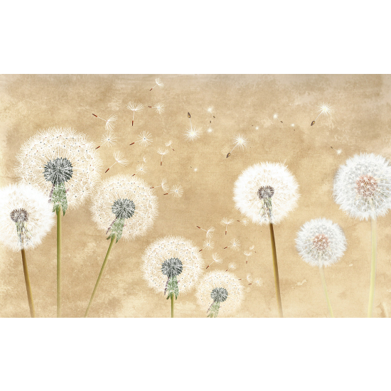 Panoramic Wallpaper - Wall Mural - Dandelions