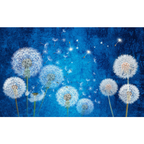 Panoramic Wallpaper - Wall Mural - Dandelions