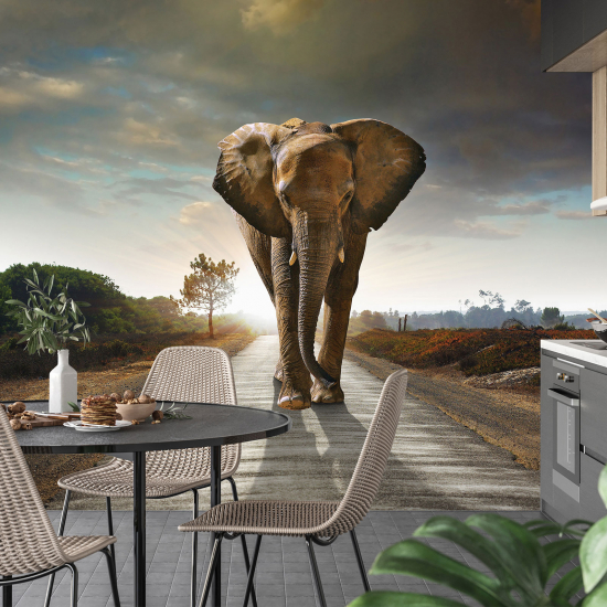 Panoramic Wallpaper - Wall Mural - Elephant