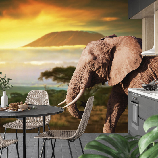 Panoramic Wallpaper - Wall Mural - Elephant