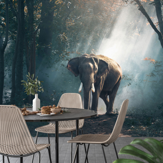 Panoramic Wallpaper - Wall Mural - Elephant