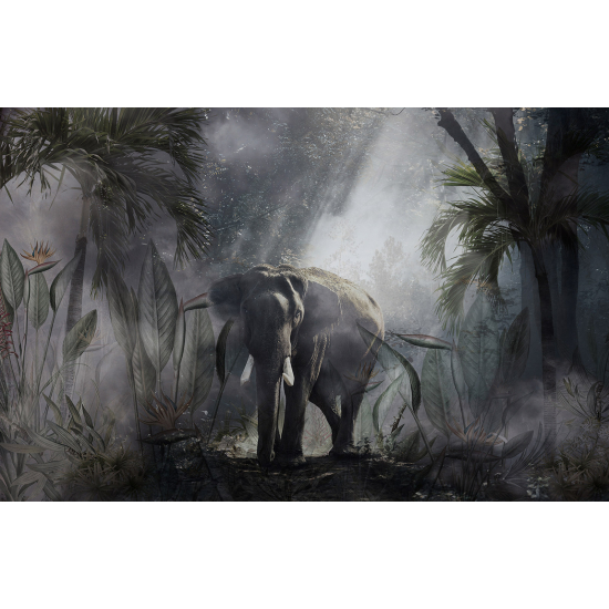 Panoramic Wallpaper - Wall Mural - Elephant