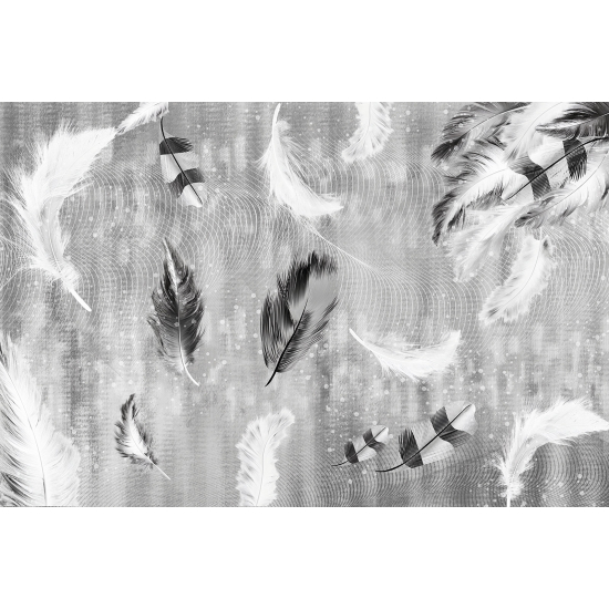 Panoramic Wallpaper - Wall Mural - Feathers