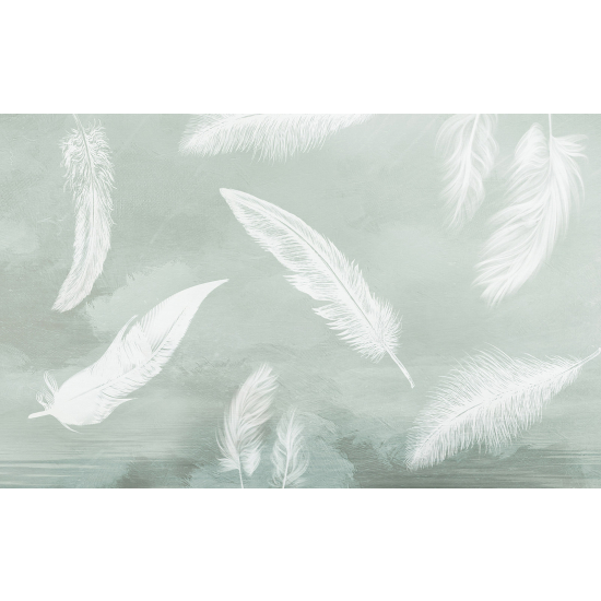 Panoramic Wallpaper - Wall Mural - Feathers