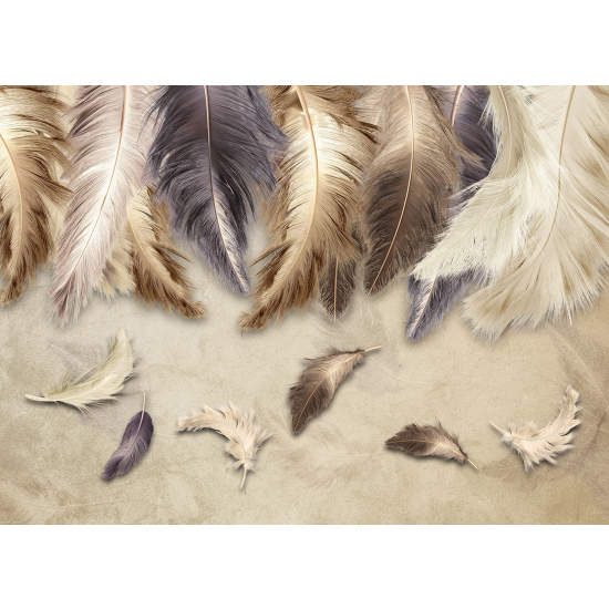 Panoramic Wallpaper - Wall Mural - Feathers