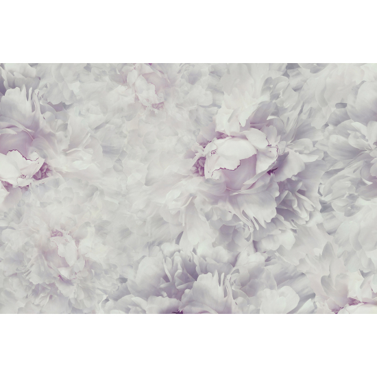 Panoramic Wallpaper - Wall Mural - Flowers