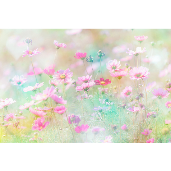 Panoramic Wallpaper - Wall Mural - Flowers